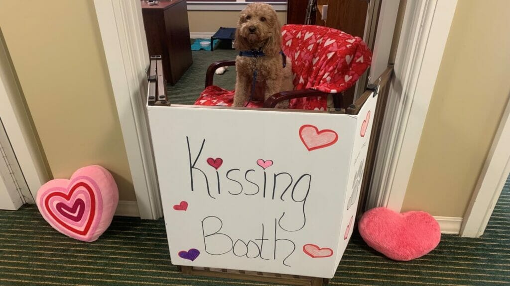 Therapy dog brings smiles and smooches to Illinois facility